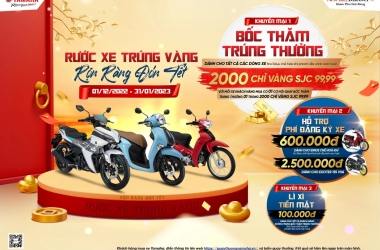 RƯỚC XE TRÚNG VÀNG, RỘN RÀNG ĐÓN TẾT