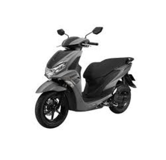 FREEGO S